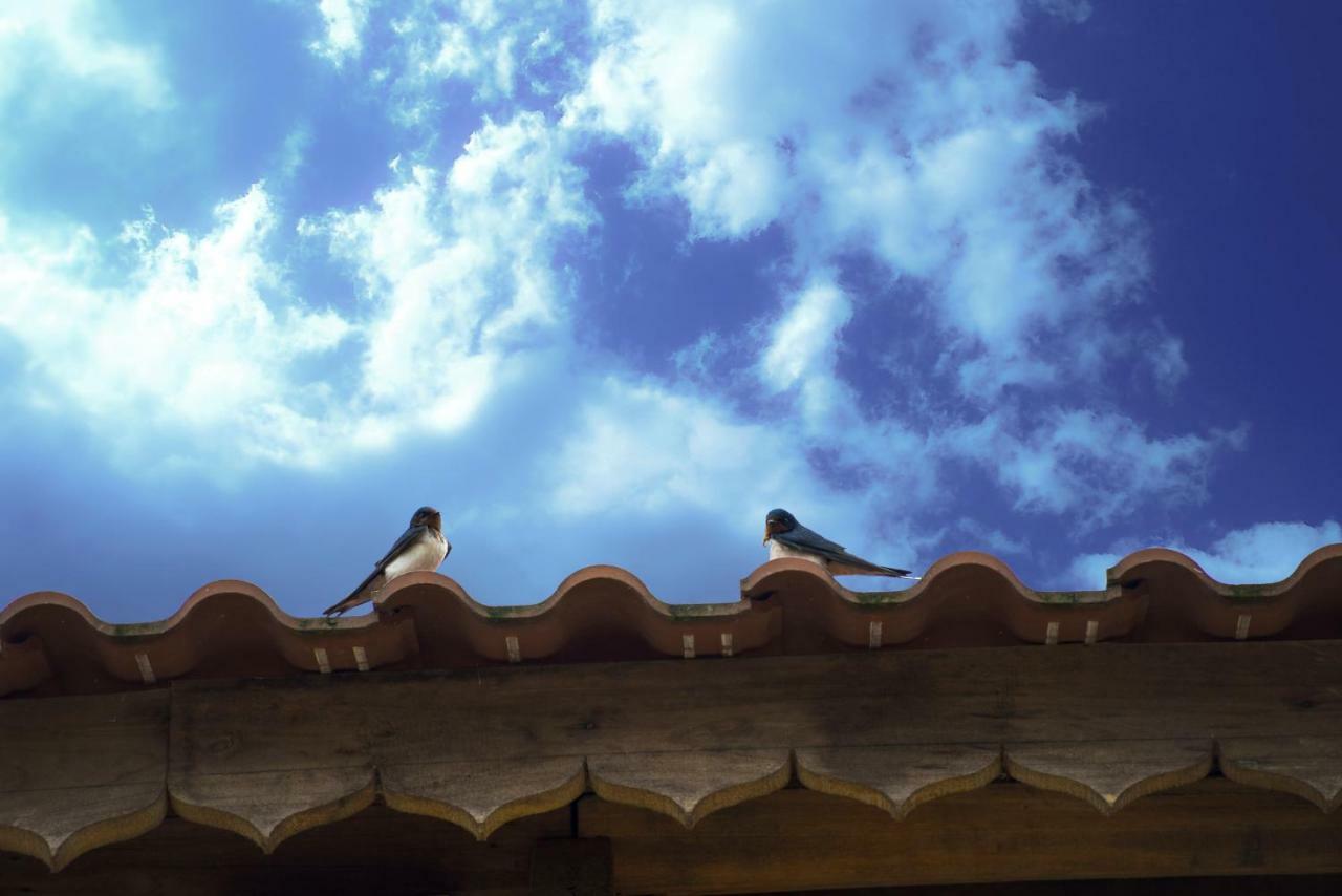 Toong Homestay ハザン エクステリア 写真